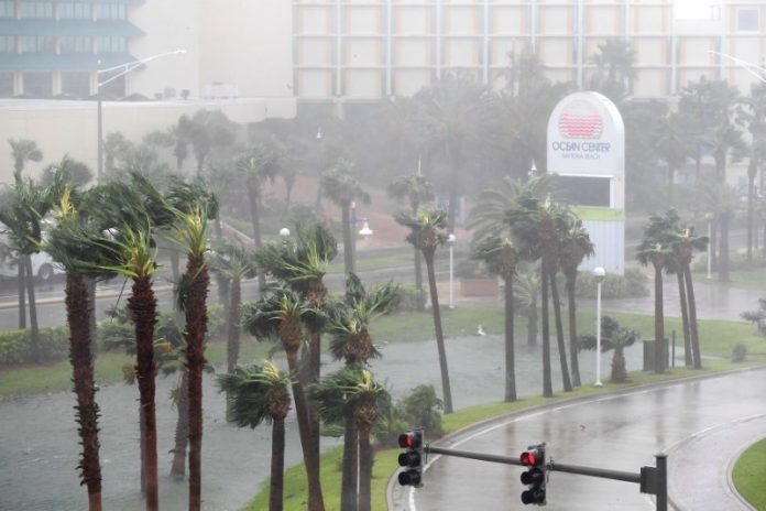 Rain batters palm trees in front of the Ocean Center as the eye of Hurricane Matthew passes Daytona Beach