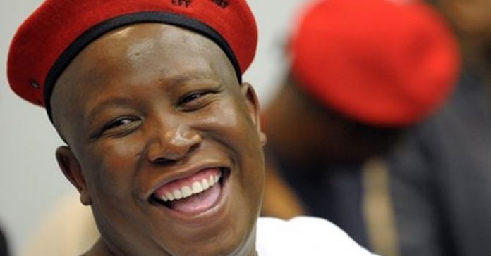 malema-pic