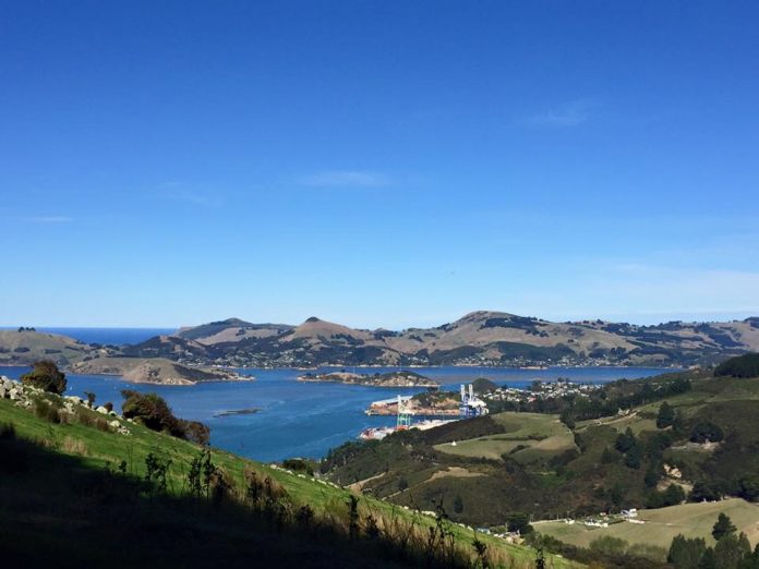 new-zealand
