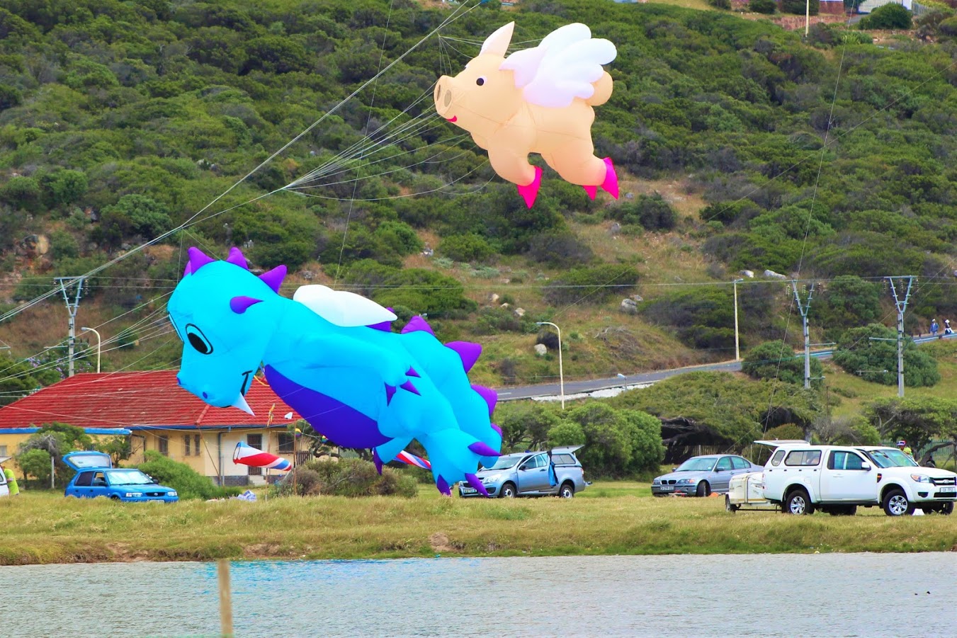 Flying High in Cape Town at the International Kite Festival SAPeople