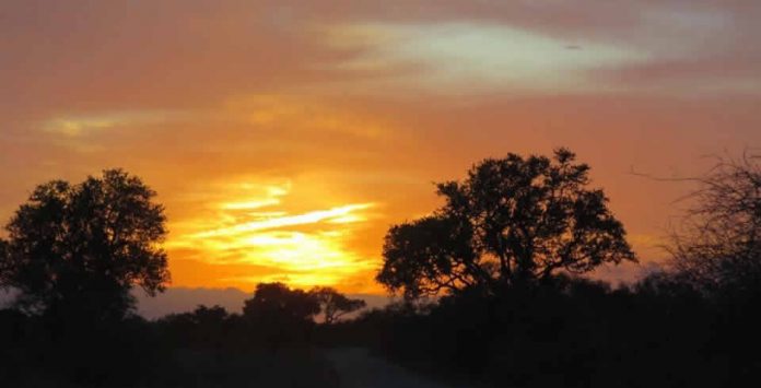 Poem: I wanted to Grow Old in Africa, by Cindi Barker Poem: I wanted to Grow Old in Africa, by Cindi Barker