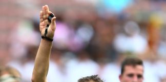 three-sa-referees-named-for-november-test-duty