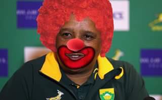 Springbok Puns Springbok Jokes and Memes after Italy Beats South Africa - SA People