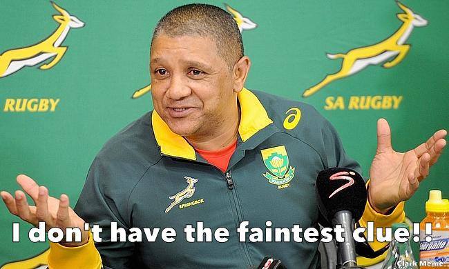 Springboks Jokes Springbok Jokes and Memes after Italy Beats South Africa - SA People