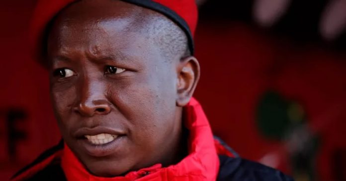 julius-malema-red-th