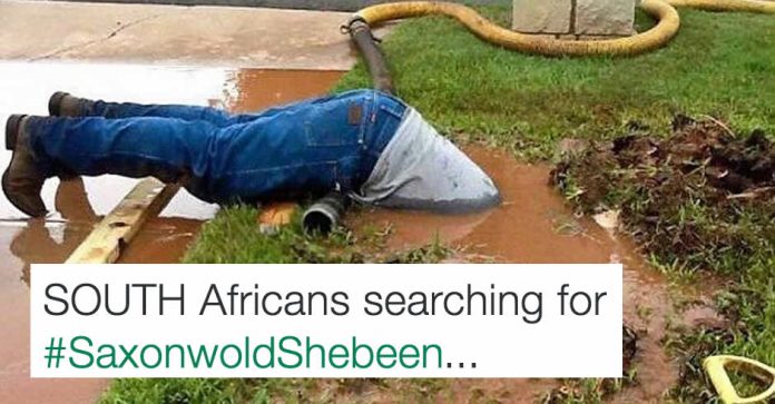saxonwoldshebeen-th