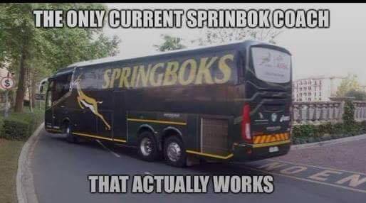 Springbok Puns Springbok Jokes and Memes after Italy Beats South Africa - SA People
