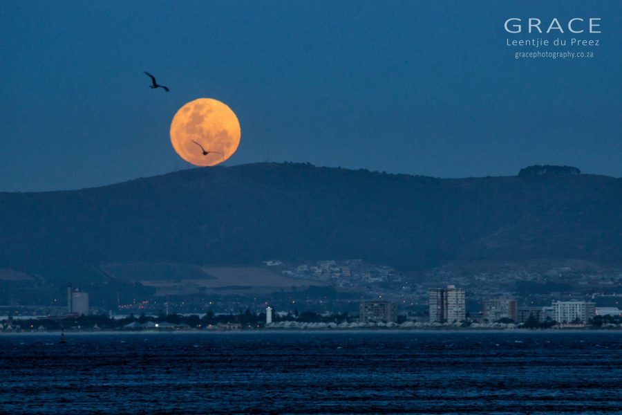 Photos of the Supermoon over South African Skies and the World