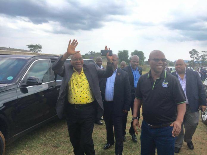 zuma-in-dumbe