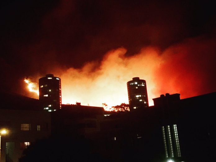 DeerParkFire