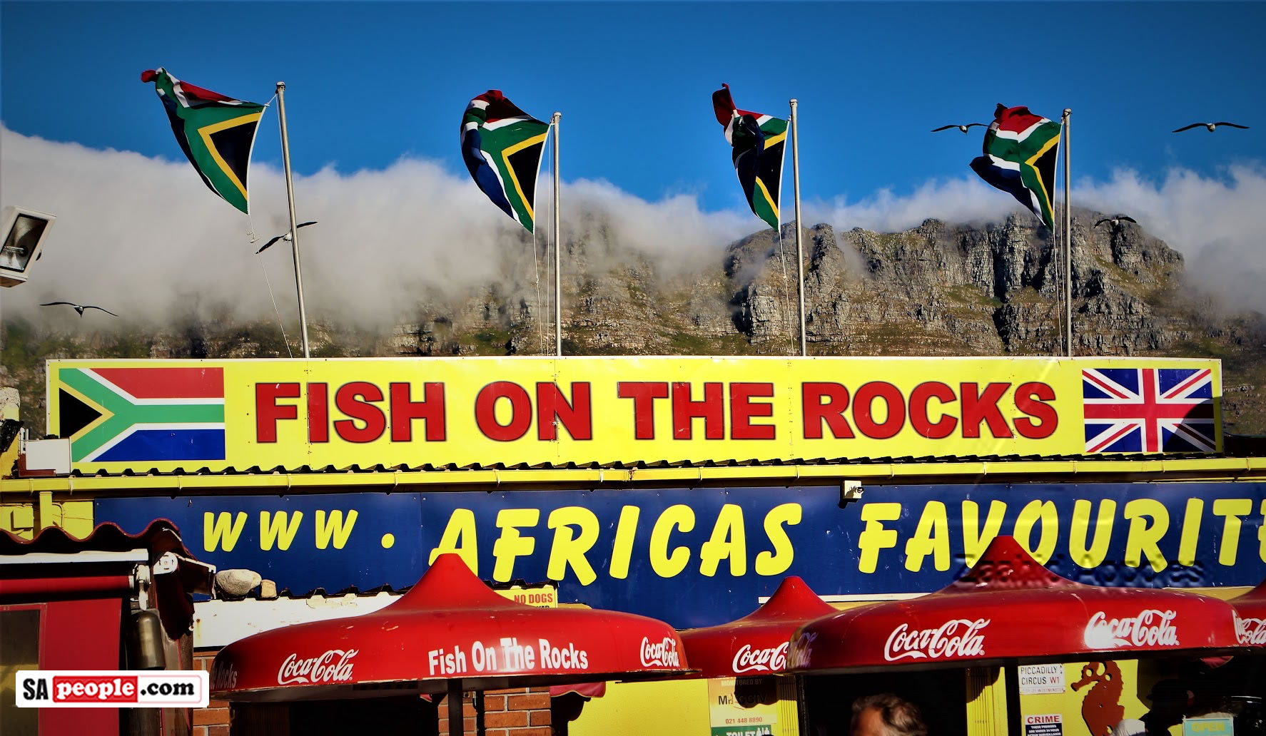 FISH ON THE ROCKS, HOUT BAY HARBOUR - SAPeople - Your Worldwide South African Community