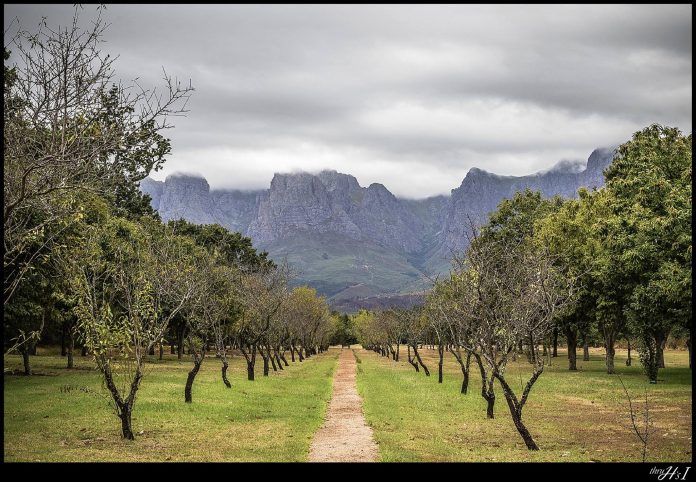 Vergelegen Wine Estate South Africa