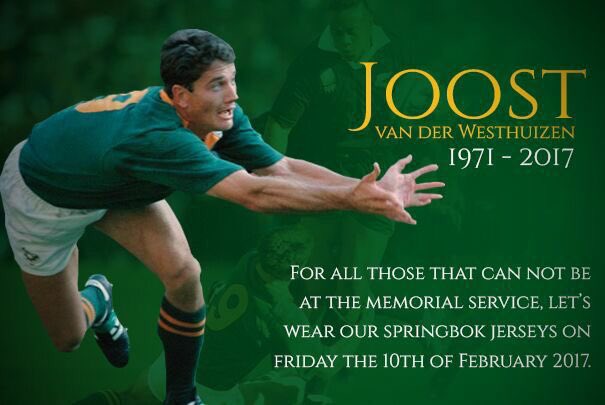 springbok jerseys