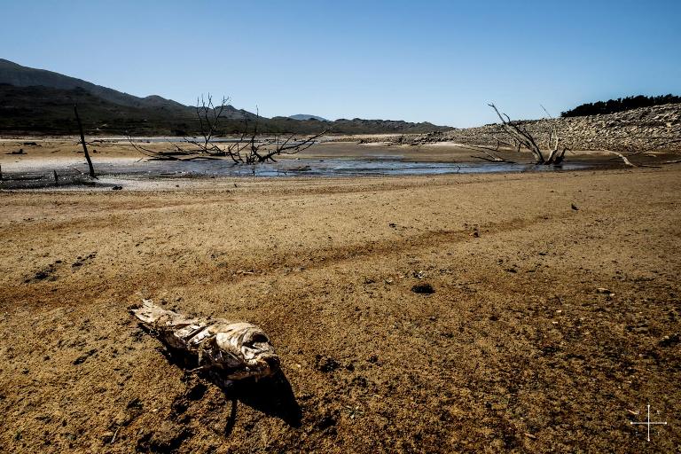 Haunting Photos Show Cape Town Gripped by Drought Crisis (About 100