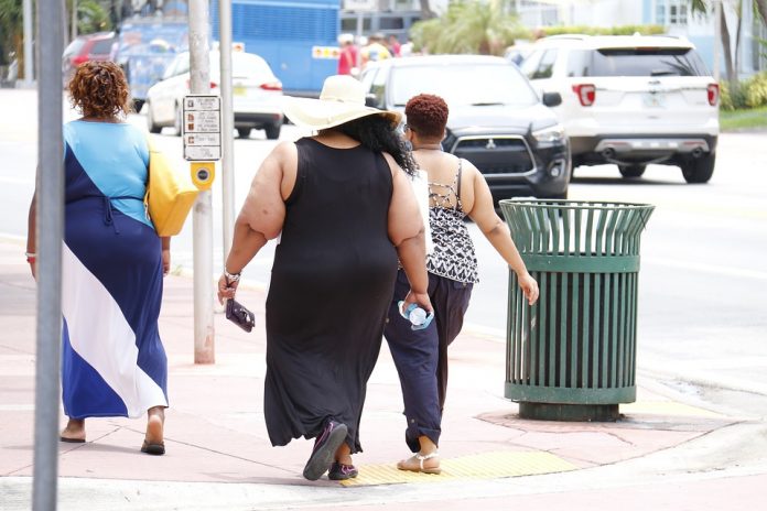 obesity obesity