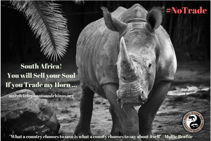 rhino trade