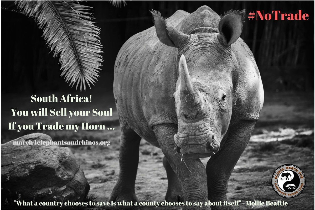 Only ONE Day Left to Sign Petition to Help Stop SA Govt Legalising ...