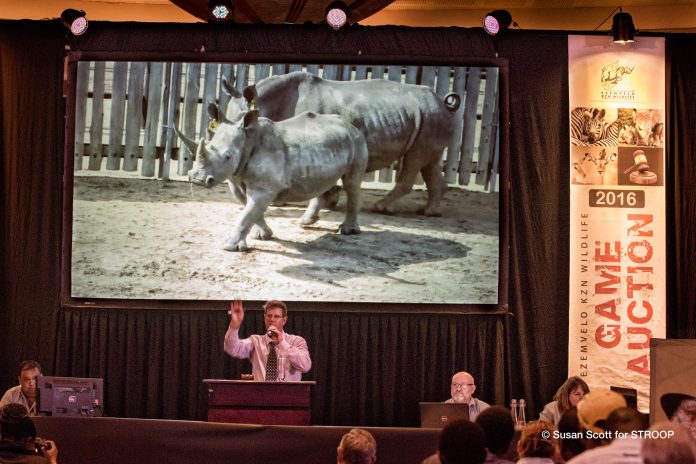 rhino auction