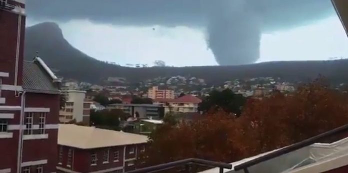 fake ornado