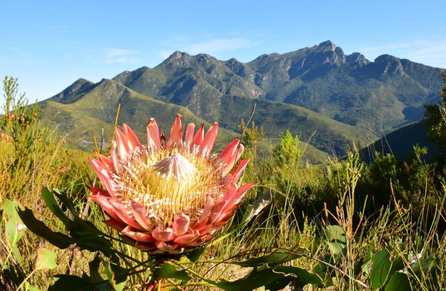 Pictures of One of the Most Beautiful Places on the Garden Route in