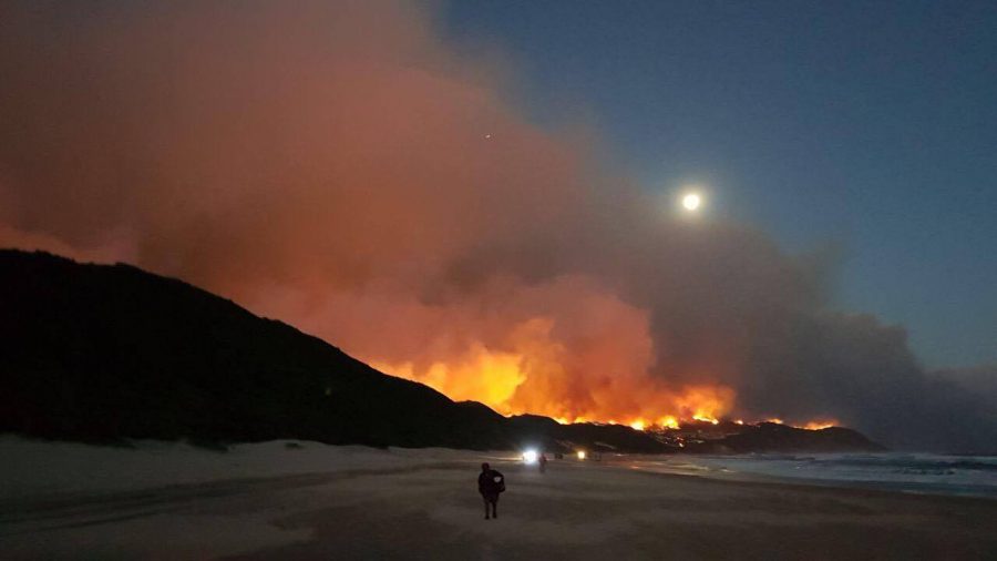 FireRavaged Knysna in South Africa Needs Help as It "Burns to the