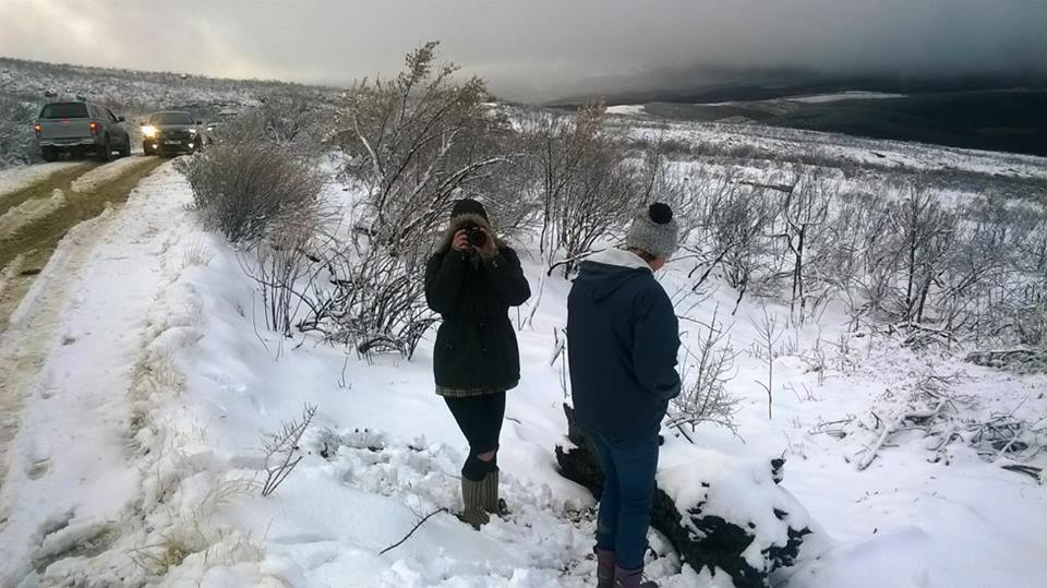 Snowing in South Africa from the Drakensberg to Table Mountain