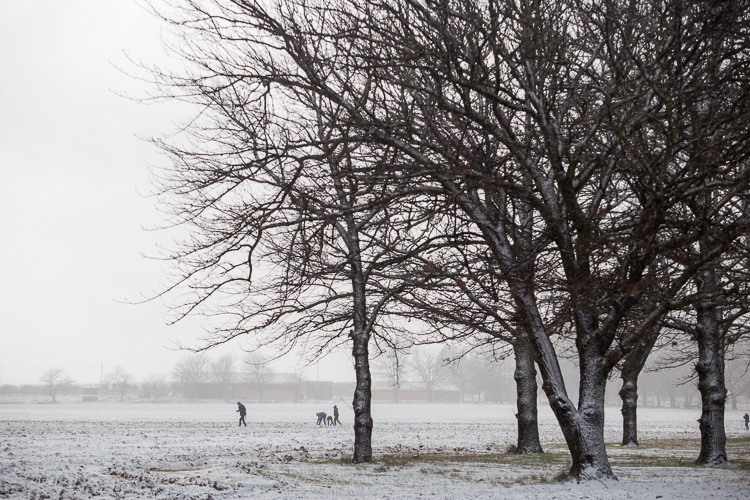 snow cape town