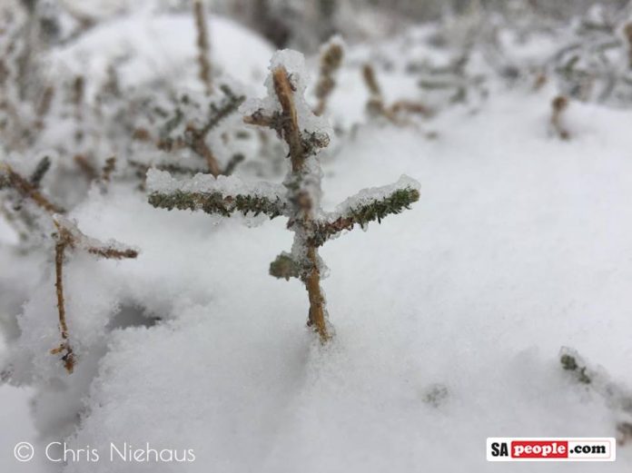 swartberge snow3