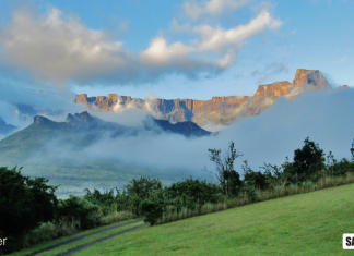missing South Africa poem from SA expat