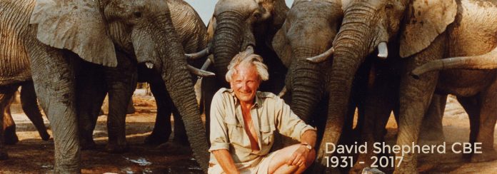 david shepherd
