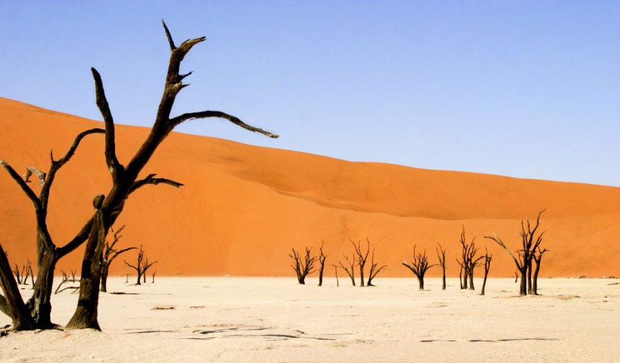 President of Namibia (aka Nambia) Foreigners to "Africa's Best