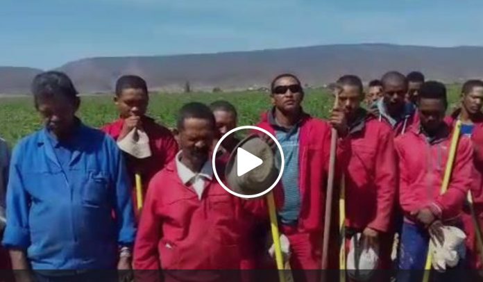 farmworkers-support-on-black-monday