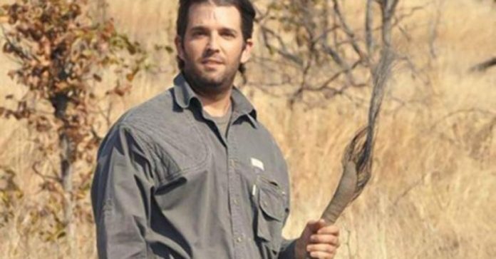 donald-trumps-son-elephant-tail
