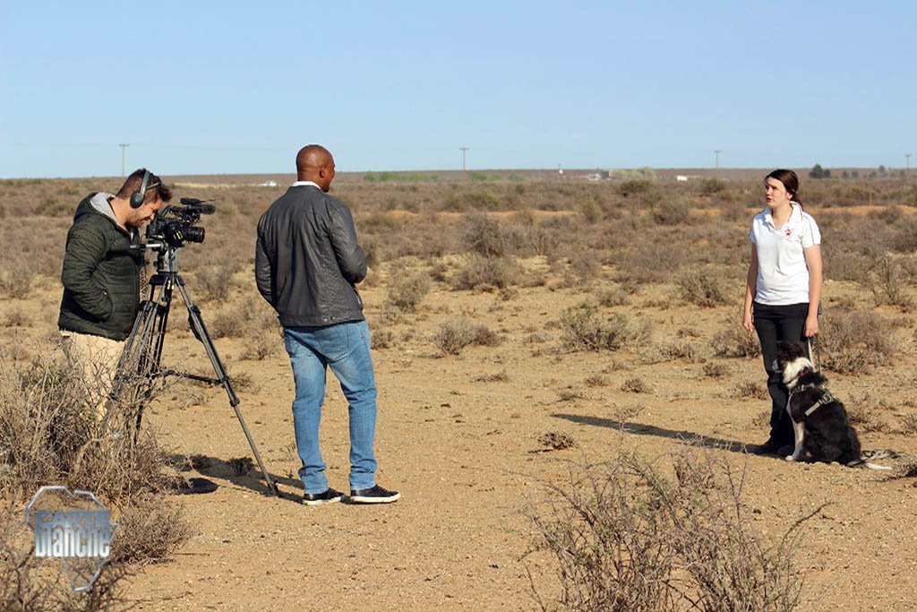 Carte Blanche New Hope for Heroin Addicts in SA, Saving Pangolins