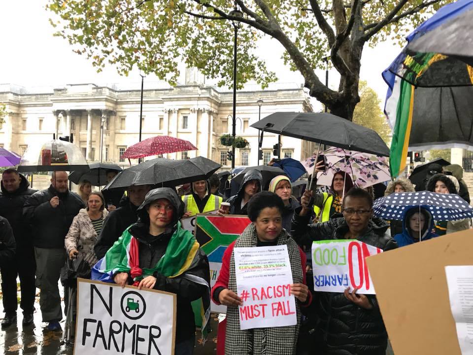 adrianne curry dating