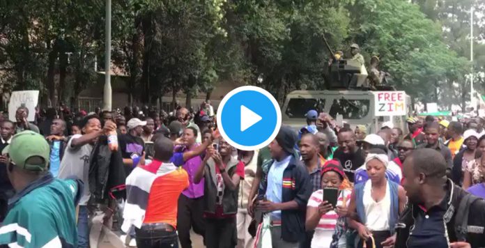 zimbabwe-marches