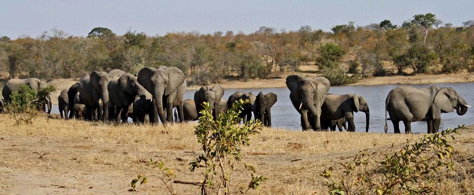 Kruger National Park