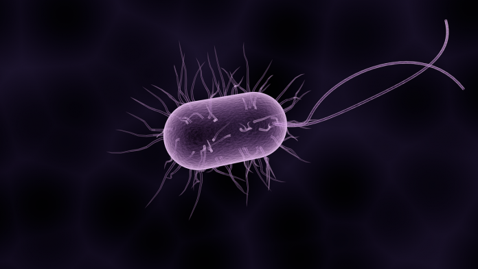 bacteria-1832824_1280pix