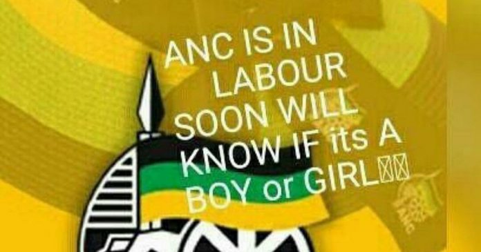 joke-anc-in-labour-th