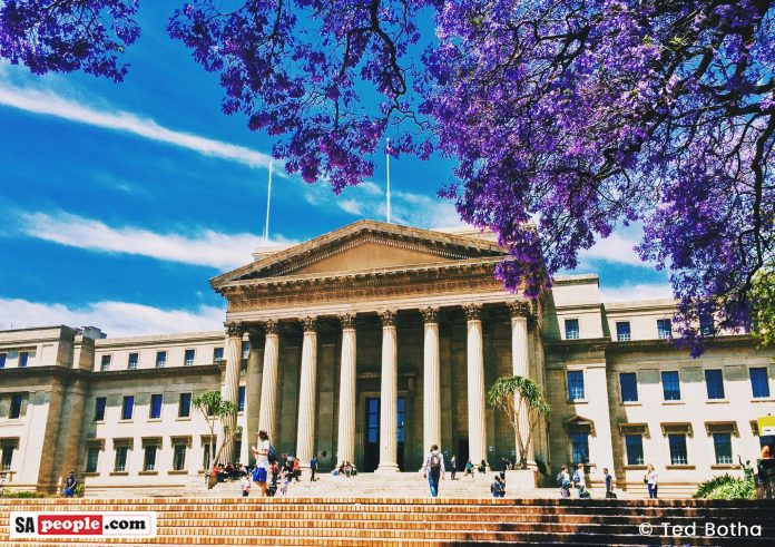 wits university jacaranda tree ted-2 wits student may have coronavirus