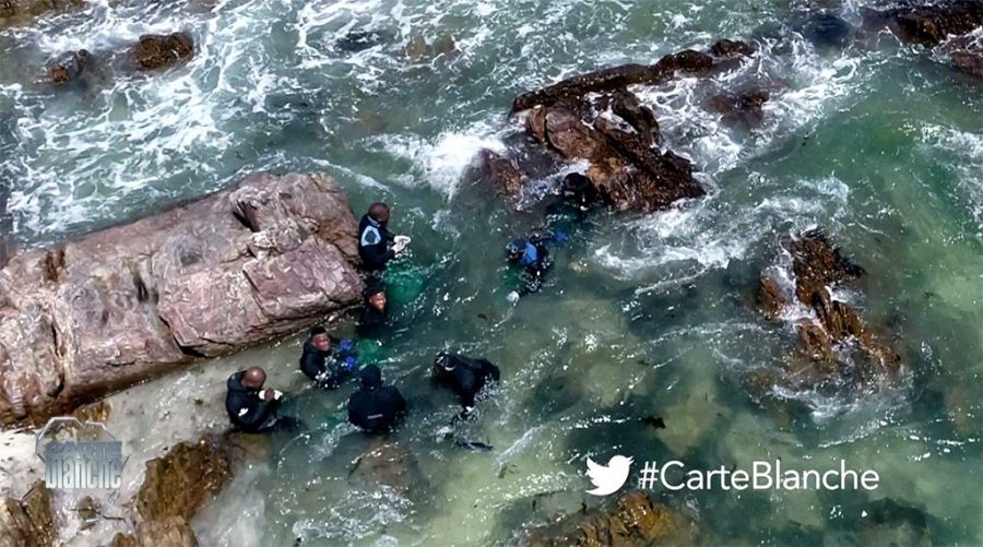 Abalone Worth R2.37 Million Seized at Durban Port, South Africa