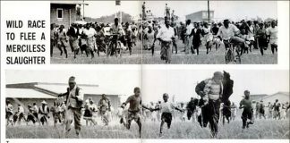 sharpeville Human Rights Day