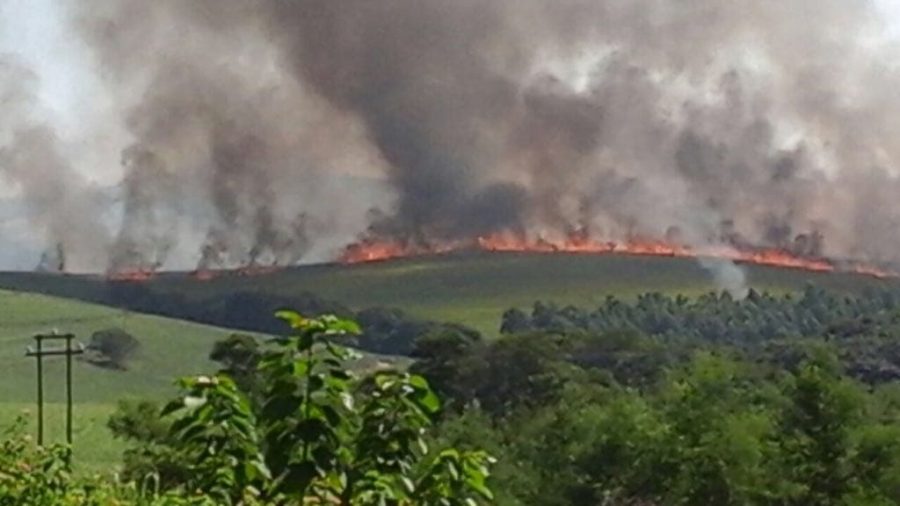 South Africa The Hurt Runs Deep, The Tears Burn. Zibu's Story