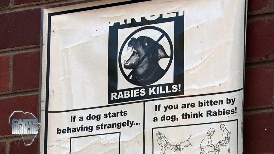 human rabies