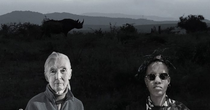 justice-for-rhinos