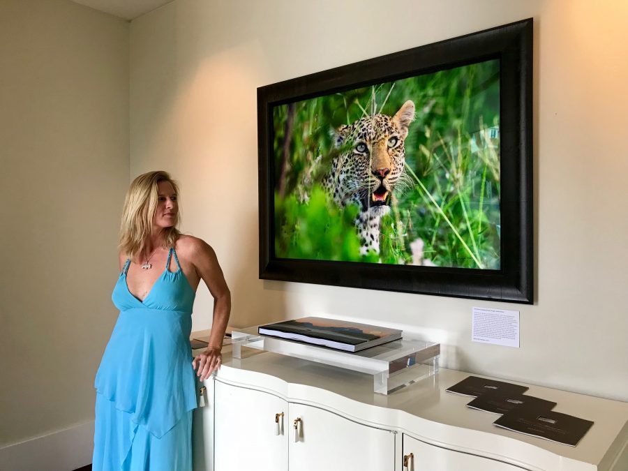 Auckland private fundraiser for Saving the Wild featuring The Elusive Leopard (number 1/5) Auckland private fundraiser for Saving the Wild featuring The Elusive Leopard (number 1/5)