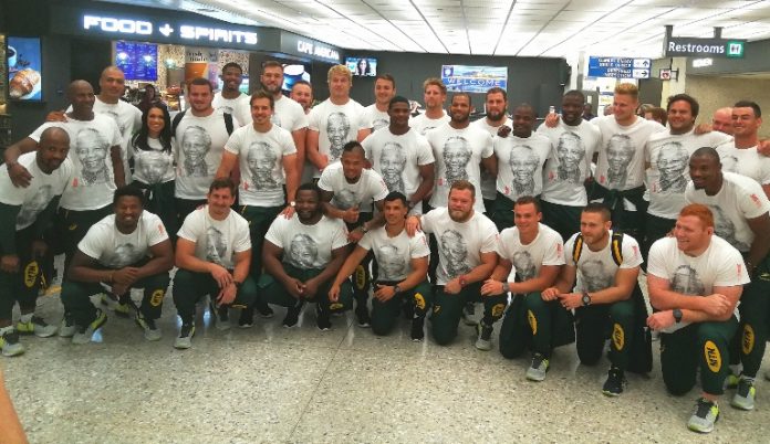 springboks springboks