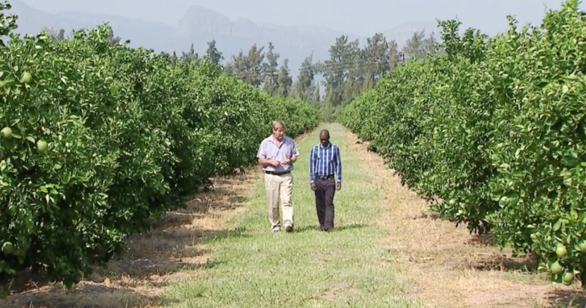 positive dating in south africa