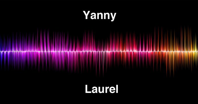 yanny-laurel