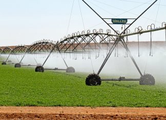 farmers